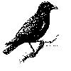 J. Crow's logo