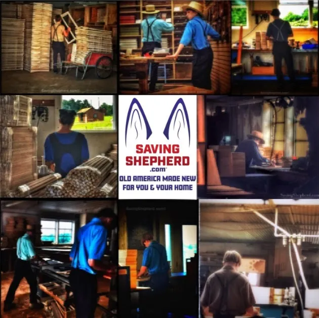 Savingshepherd