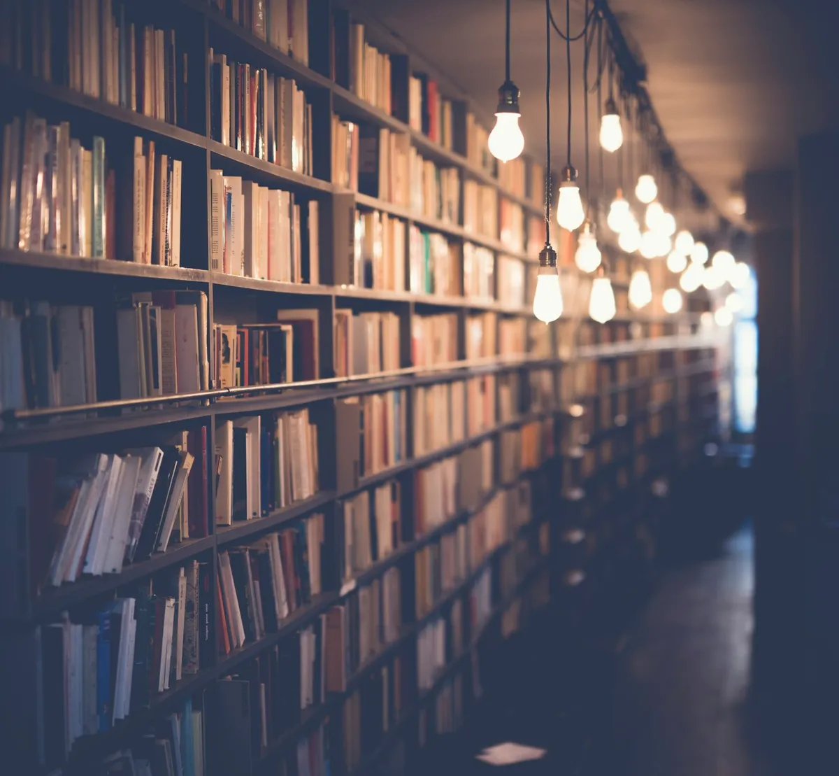 Bookshelf and reading space for e-reader review