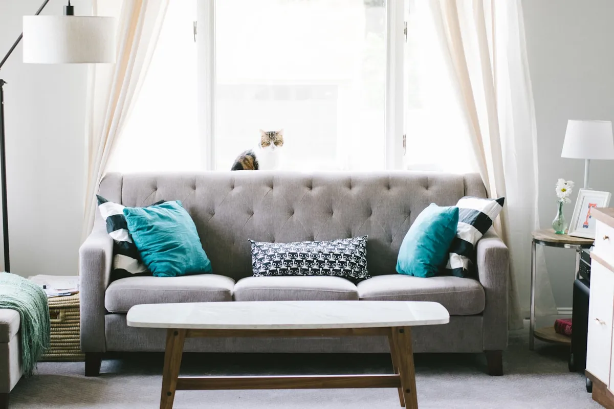 Comfortable living room chair in a reading corner