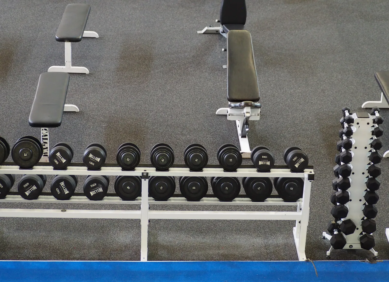 Home Gym Buying Guide: Start With Dumbbells, Not a Machine