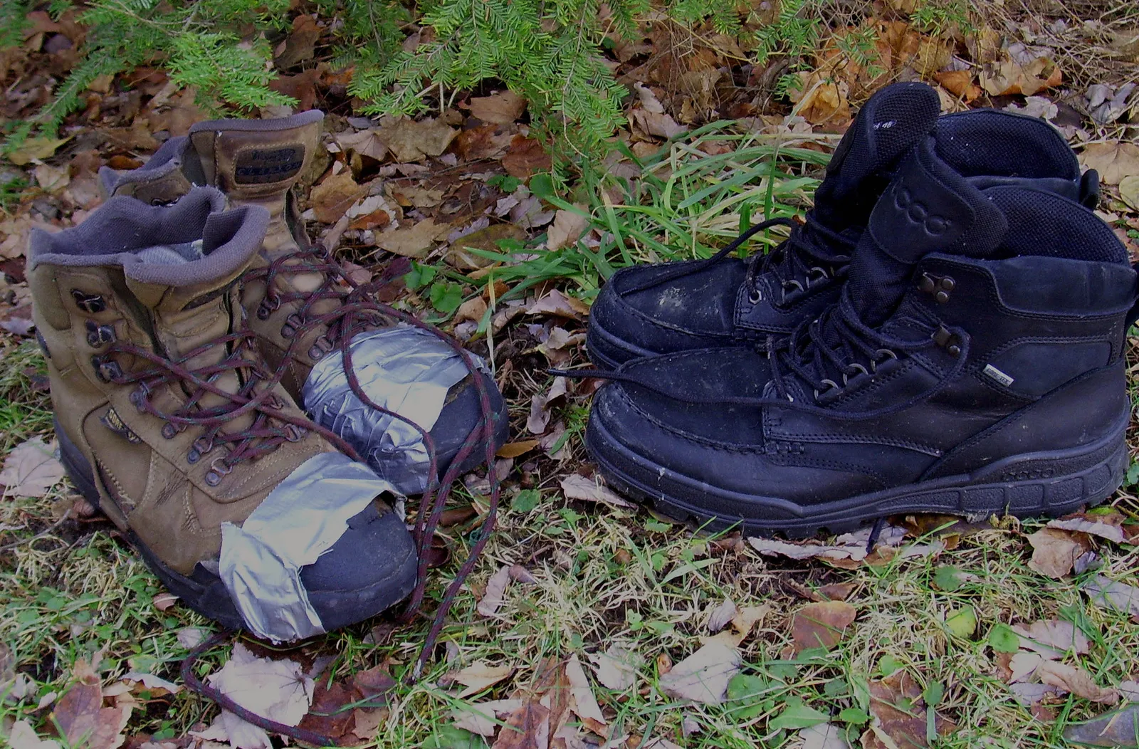 Hiking Boots Buying Guide: Fit Decides, Not Ankle Height