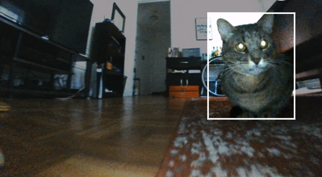 A curious cat investigating a robot vacuum cleaner on a wood floor
