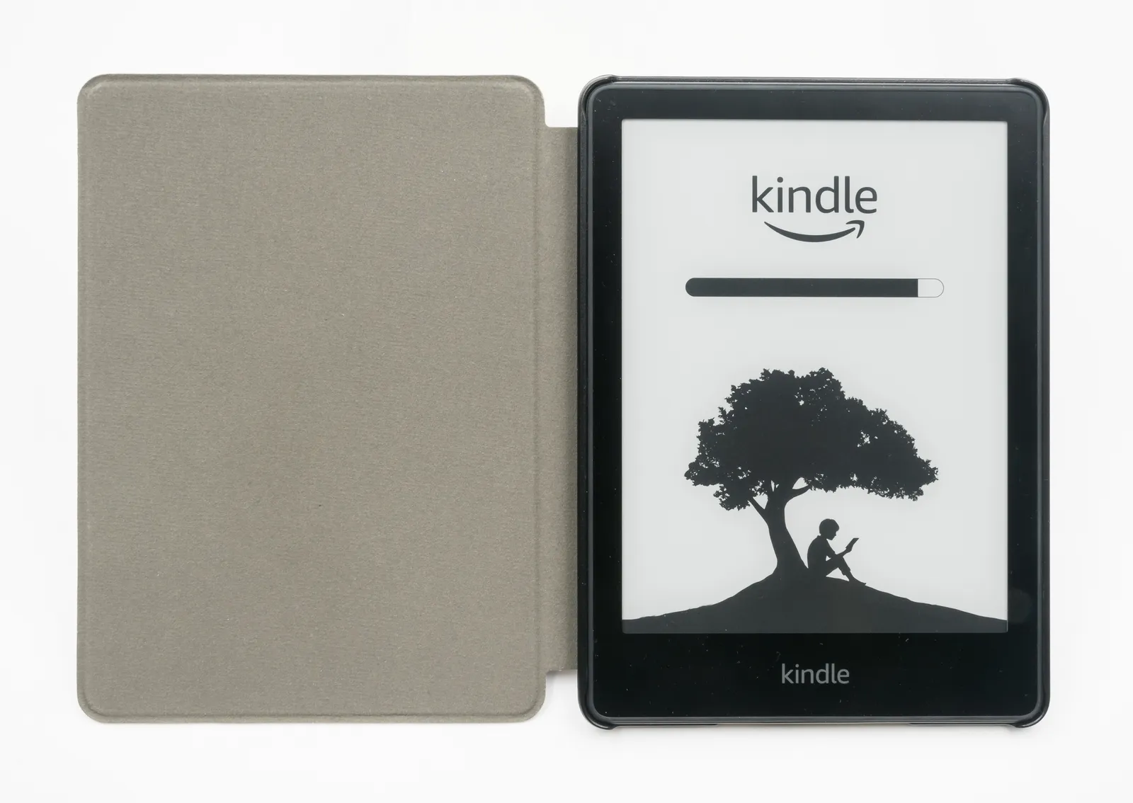 E-Reader Buying Guide: Check Your Library Before You Check the Screen