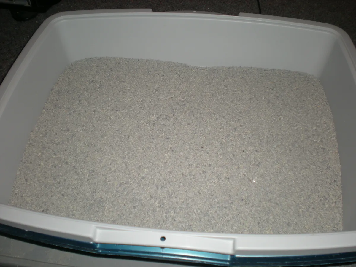 Clean clumping cat litter in a tray