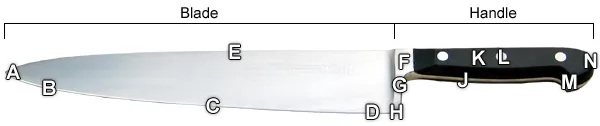 Diagram labelling the parts of a kitchen knife