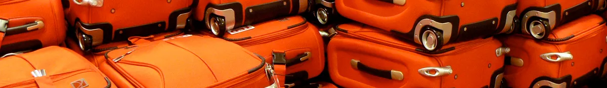 A row of matching suitcases lined up