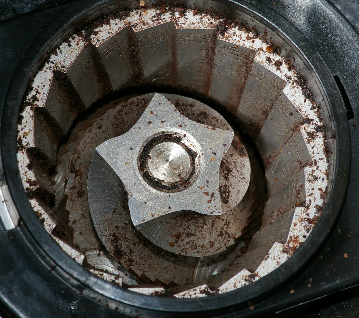 A burr coffee grinder with its grounds container