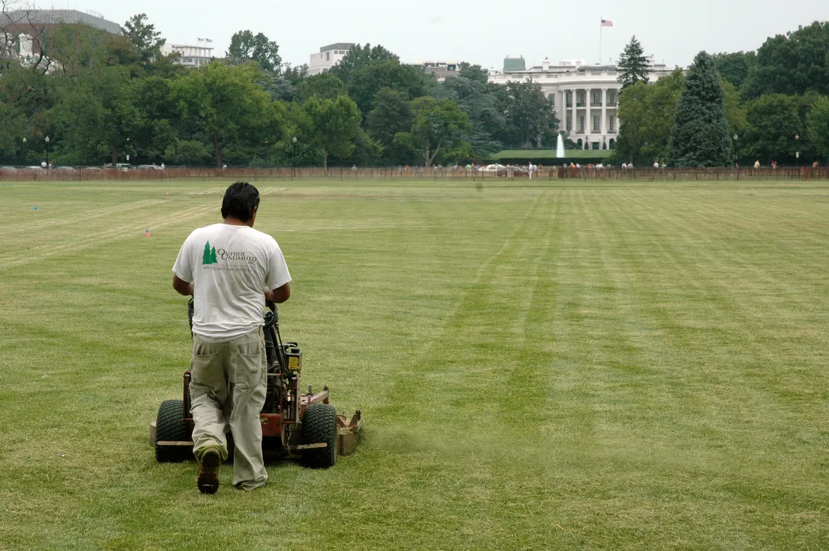 A large walk-behind mower cutting an expanse of grass