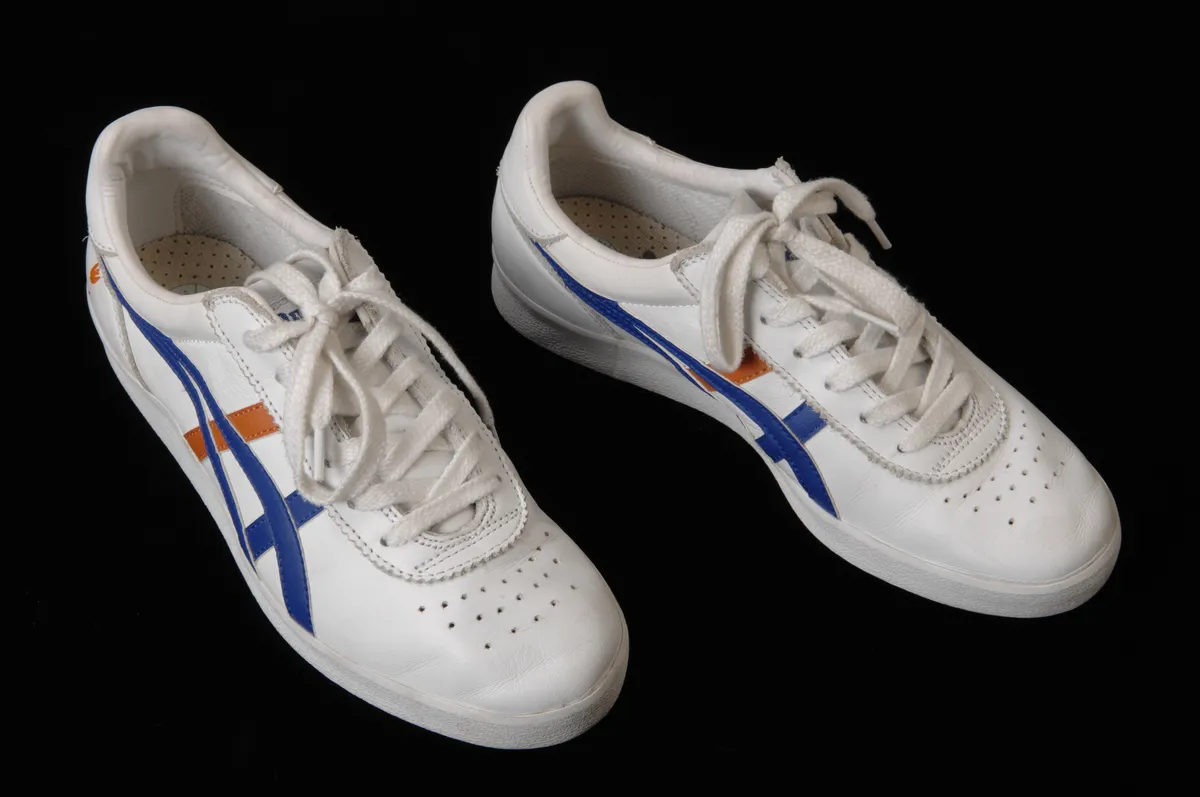 A pair of low-profile sneakers