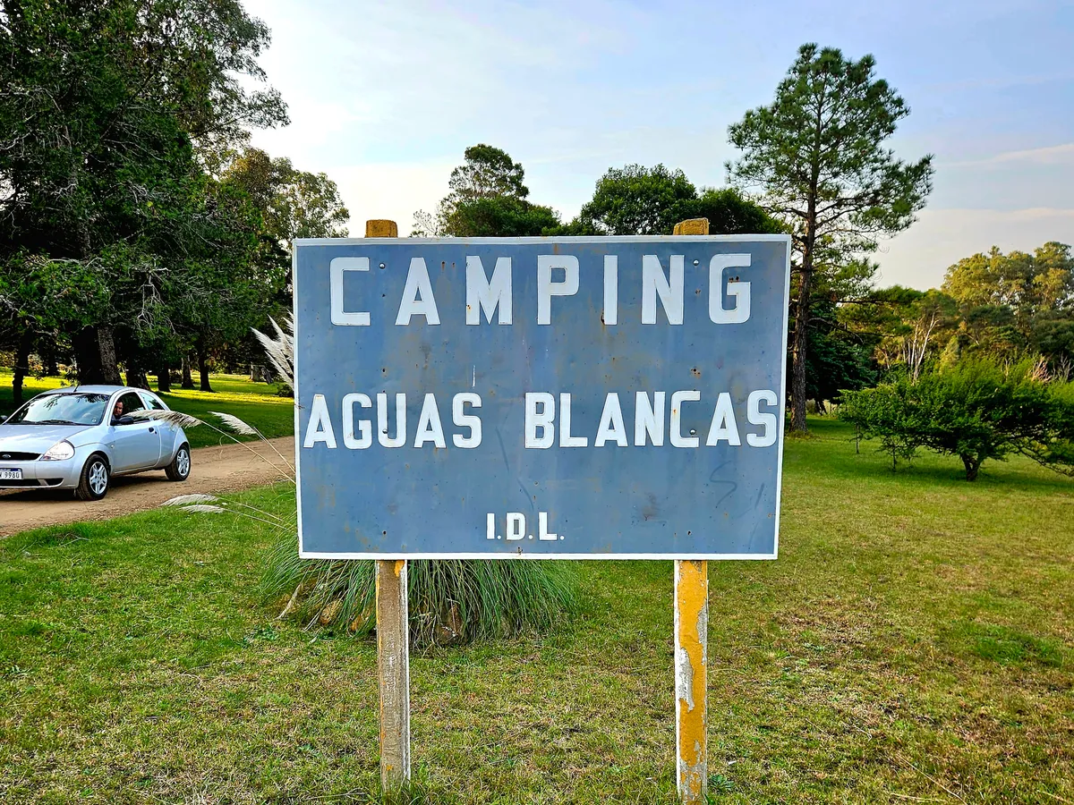 Tents pitched at a wooded campsite