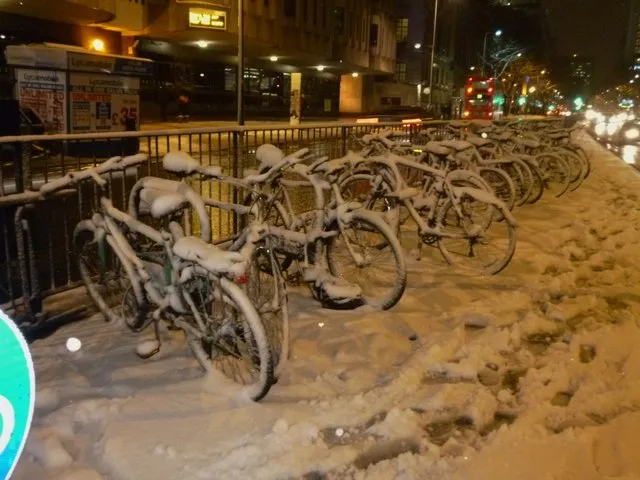 A row of commuter bicycles parked in a city