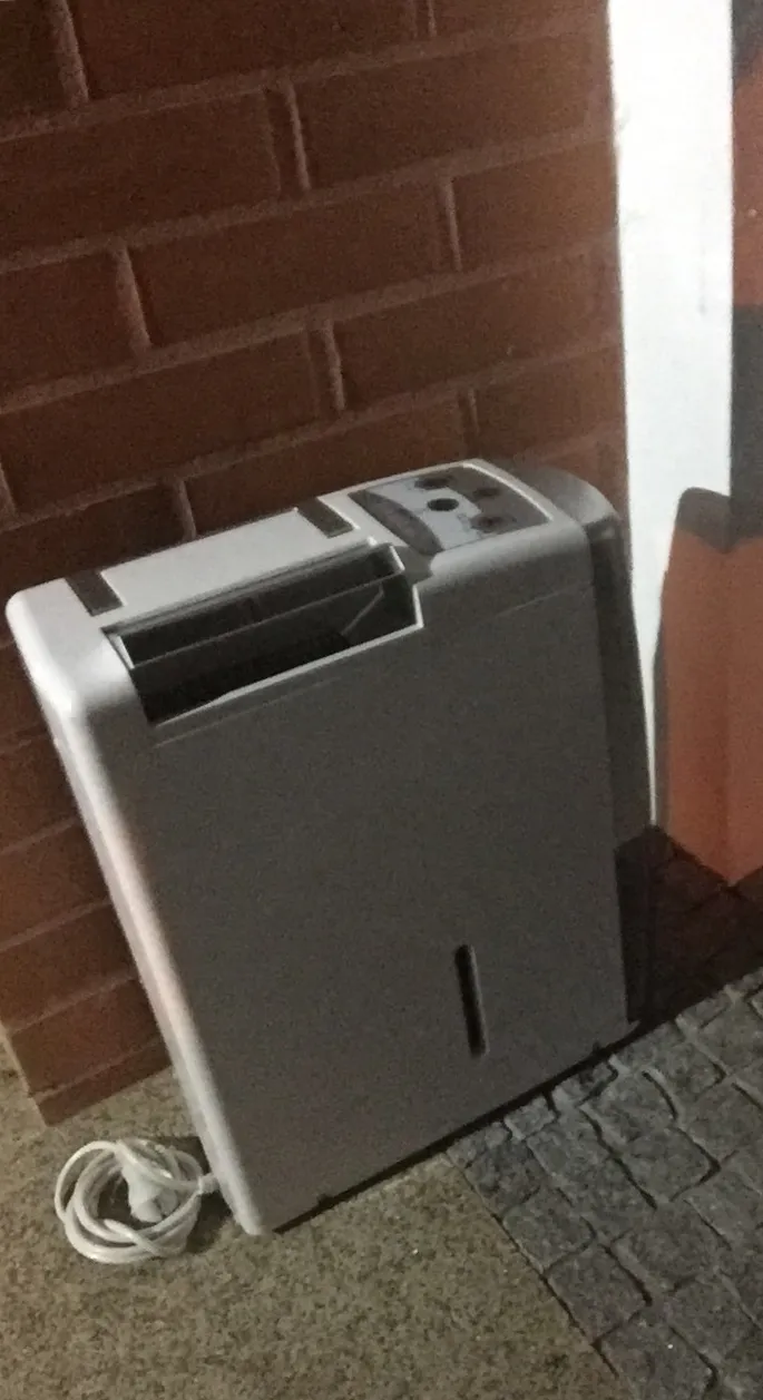Dehumidifier Buying Guide: Diagnose the Damp First