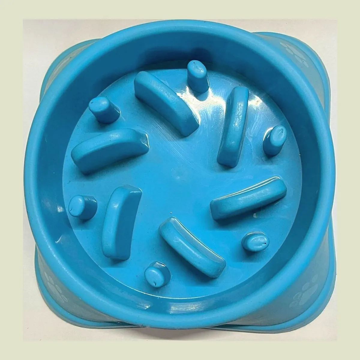 Slow-feeder style pet bowl designed to reduce fast eating