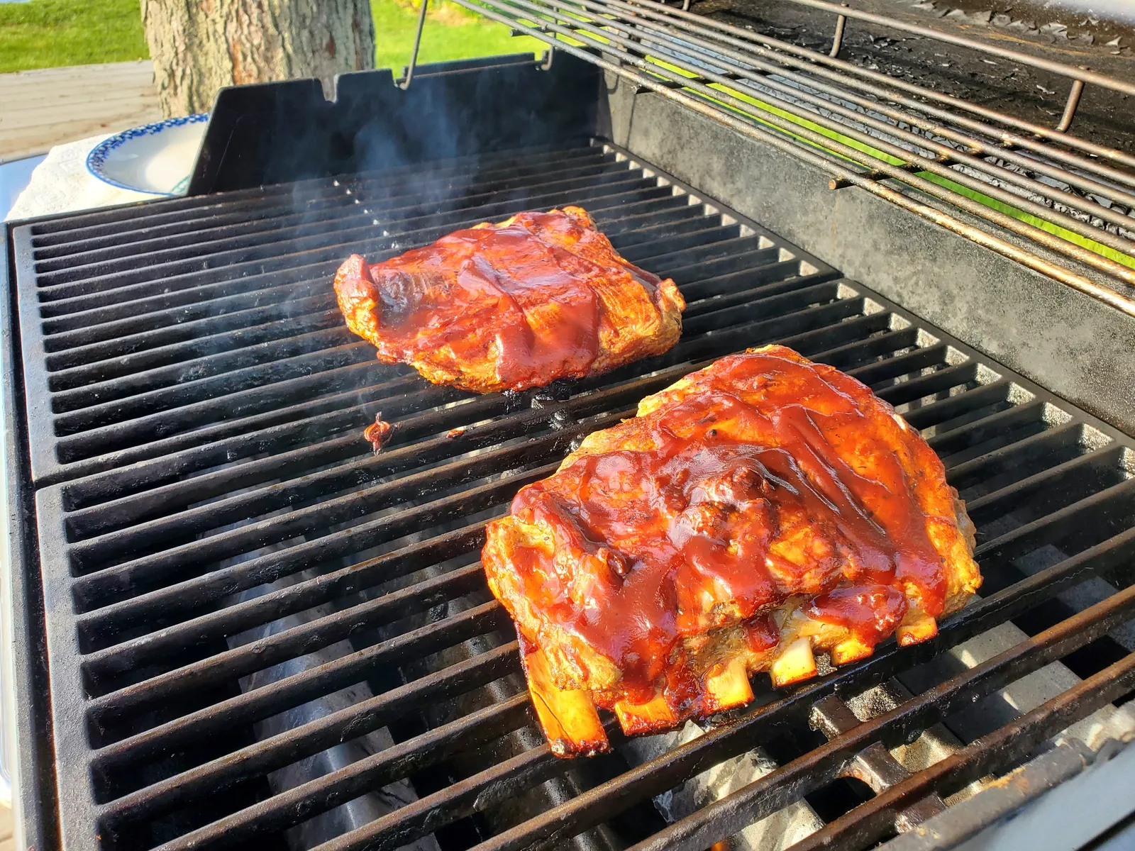 Weber Spirit II E-310 Review: 14 Weeks of Real Backyard Grilling