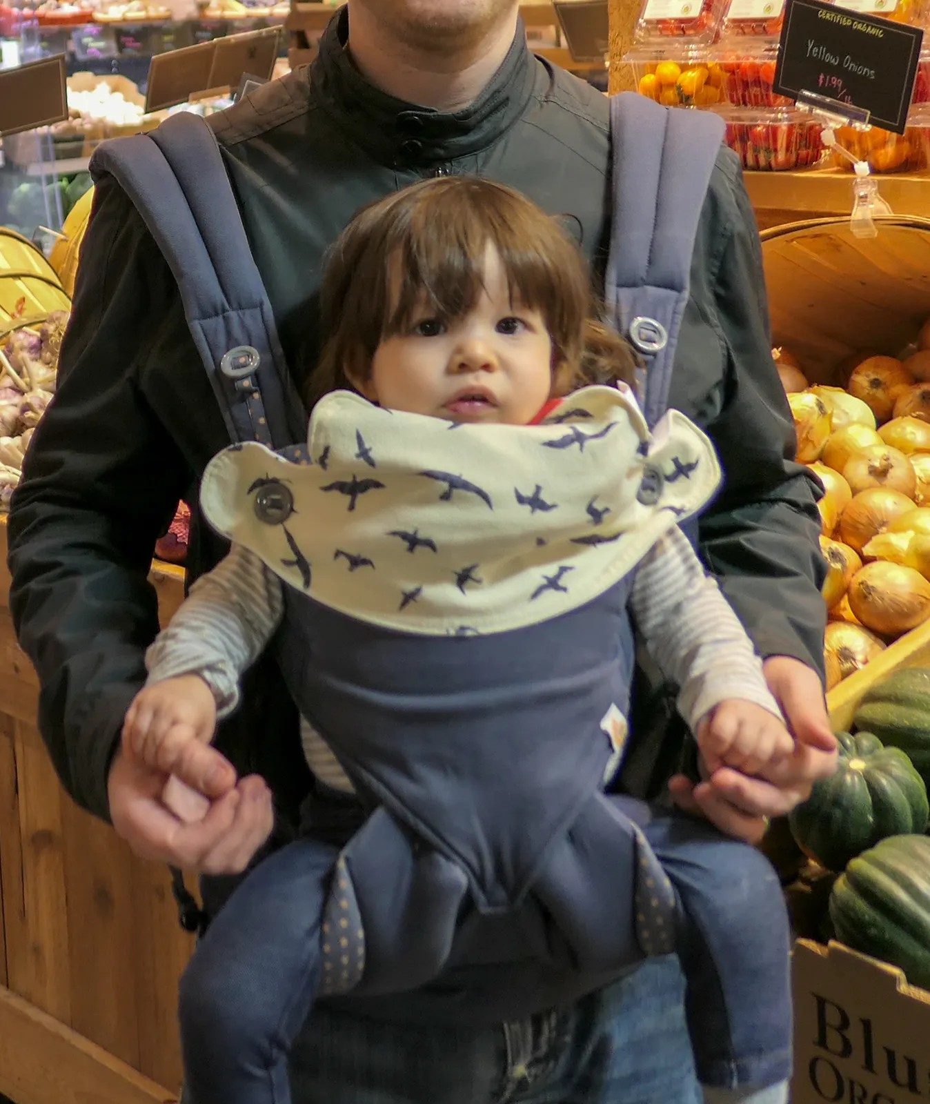 Ergobaby Omni 360 Review: Newborn to Toddler | Review Hub