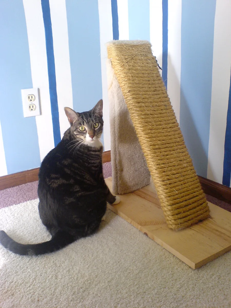 A homemade scratching post built from timber and wrapped with rope