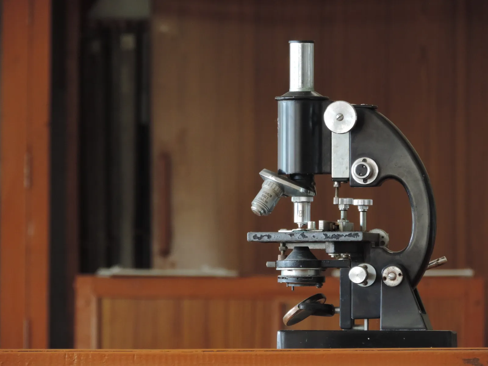 Student Compound Microscope Review: A Great 400x, Not 1000x