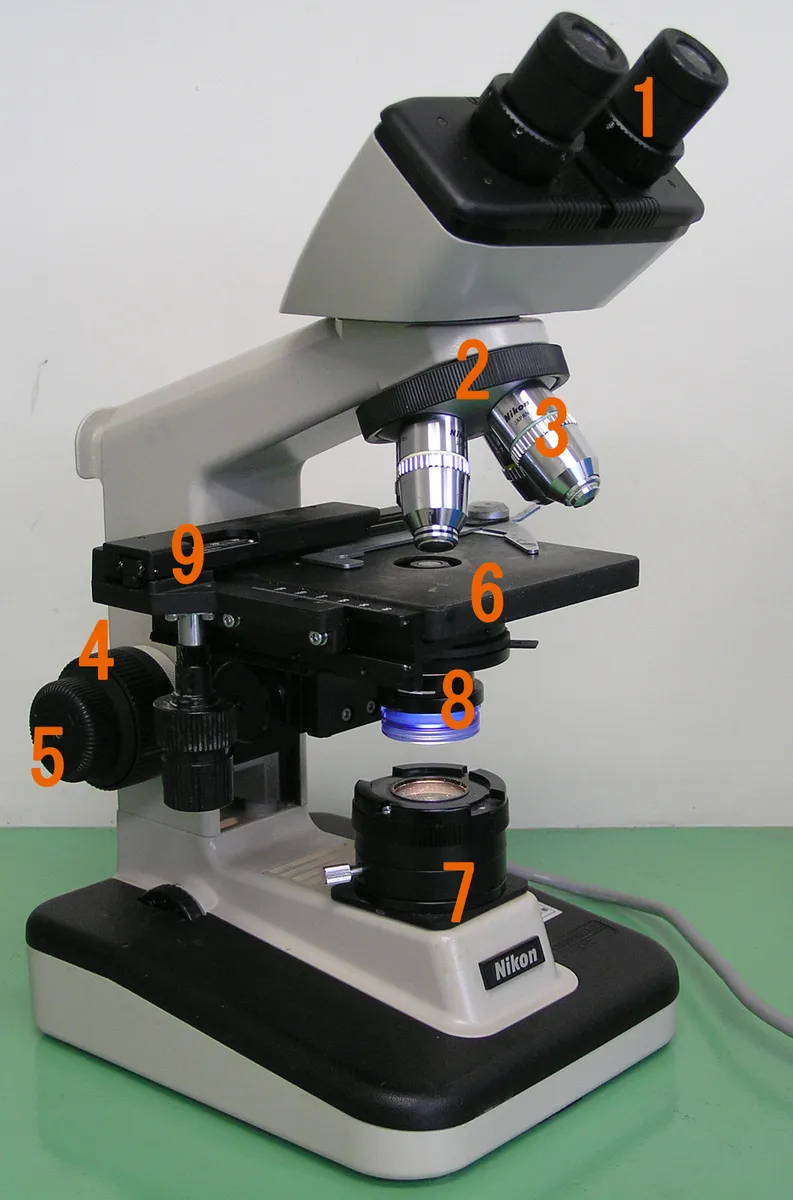An older laboratory microscope with a geared mechanical stage and adjustable condenser