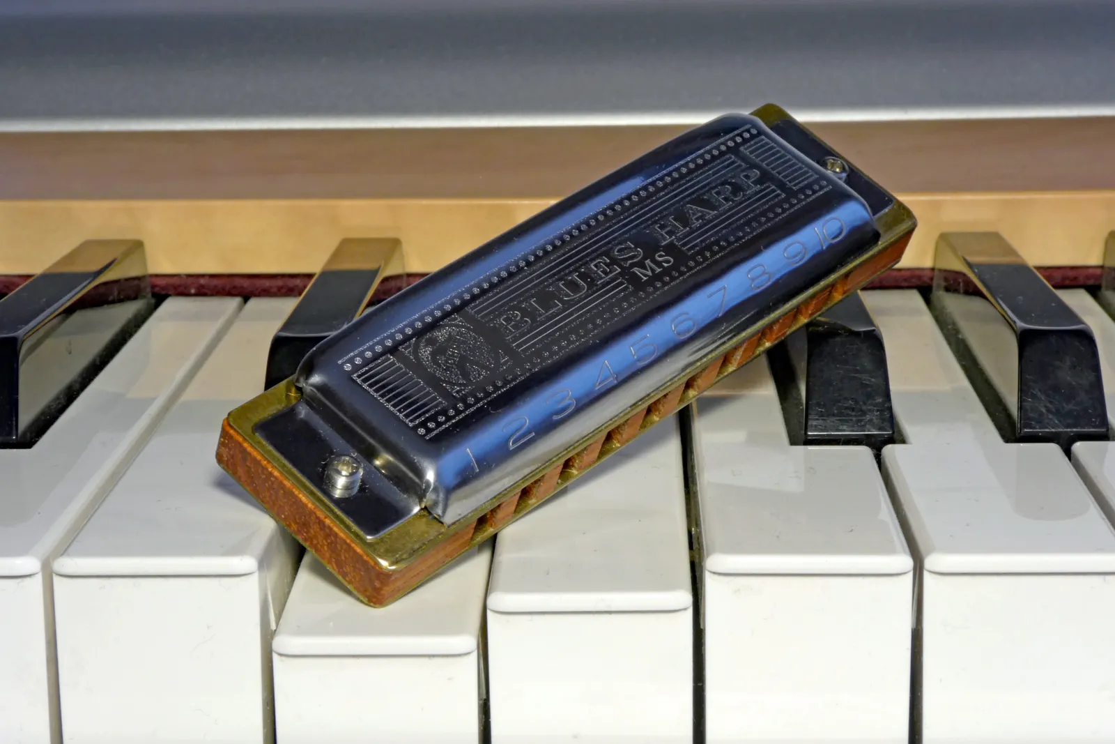 Hohner Special 20 Review: Where the 45 Dollars Actually Goes