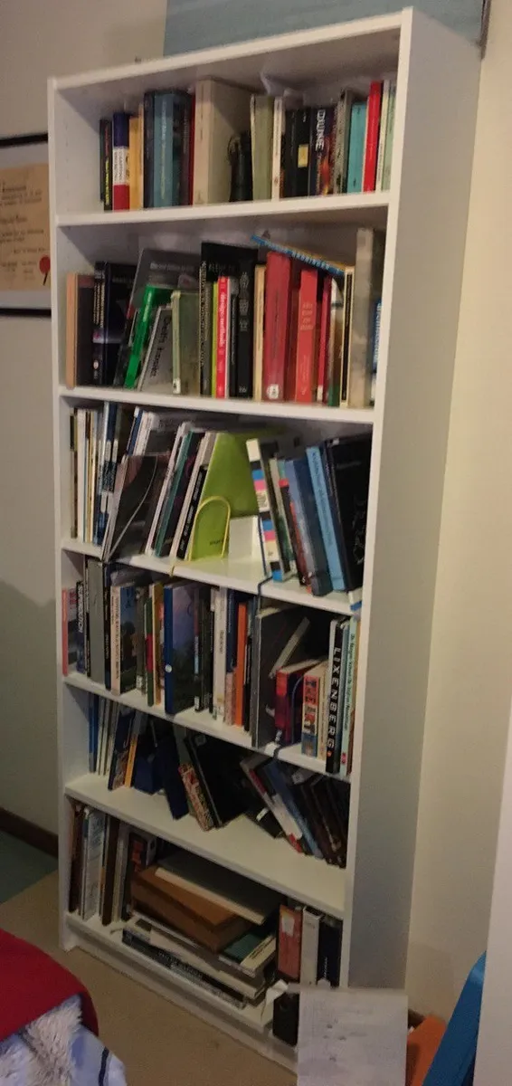 Close view of a Billy bookcase shelf loaded with books