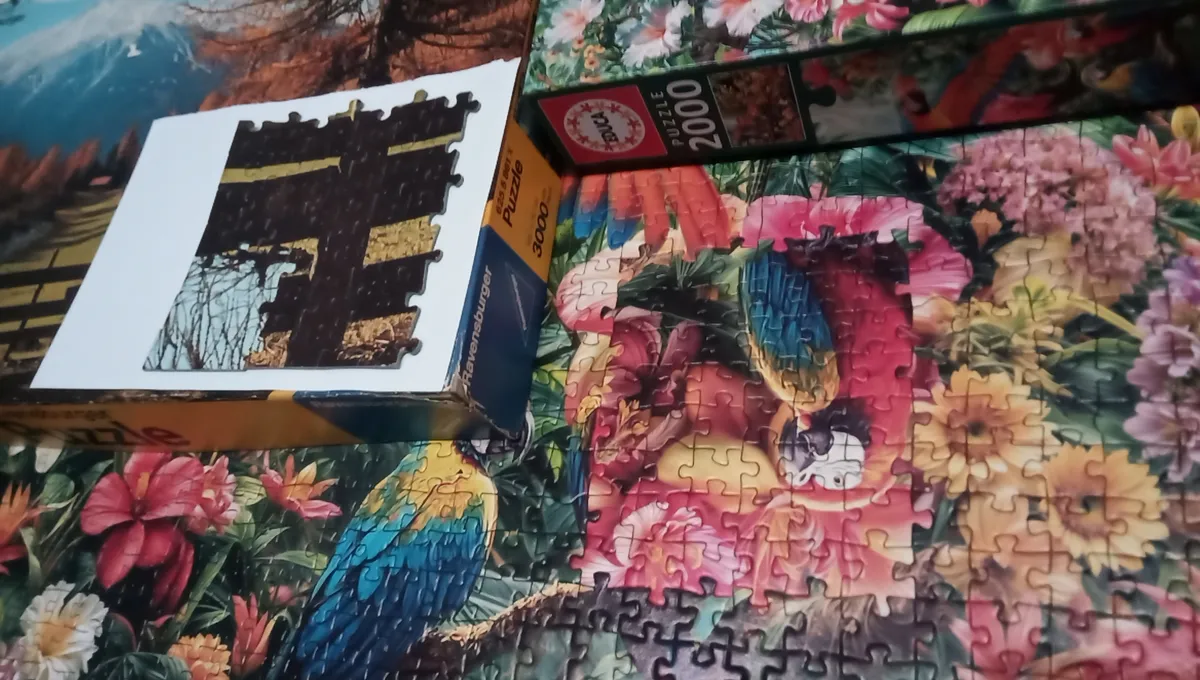 Loose jigsaw pieces of varied shapes from a random-cut die