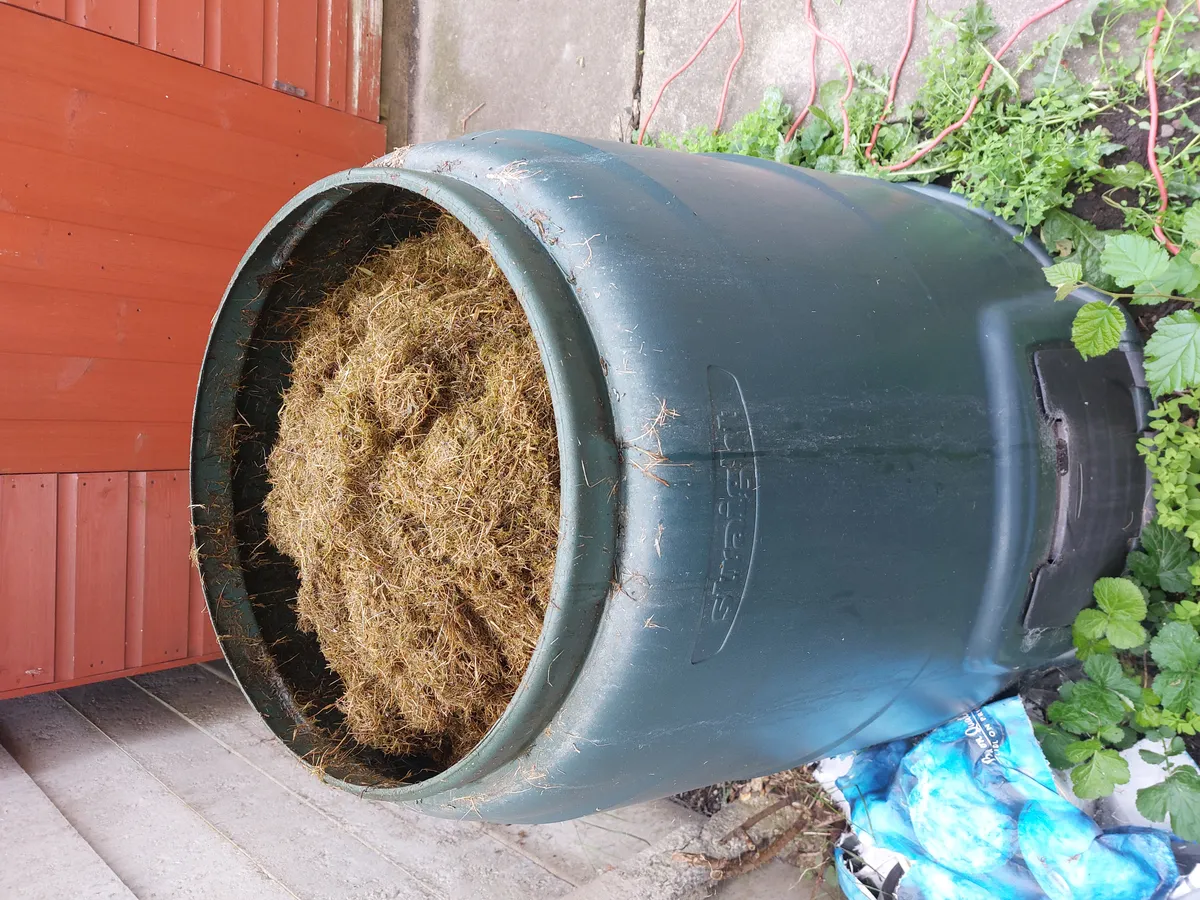 A green plastic garden compost bin, the type distributed by many local councils