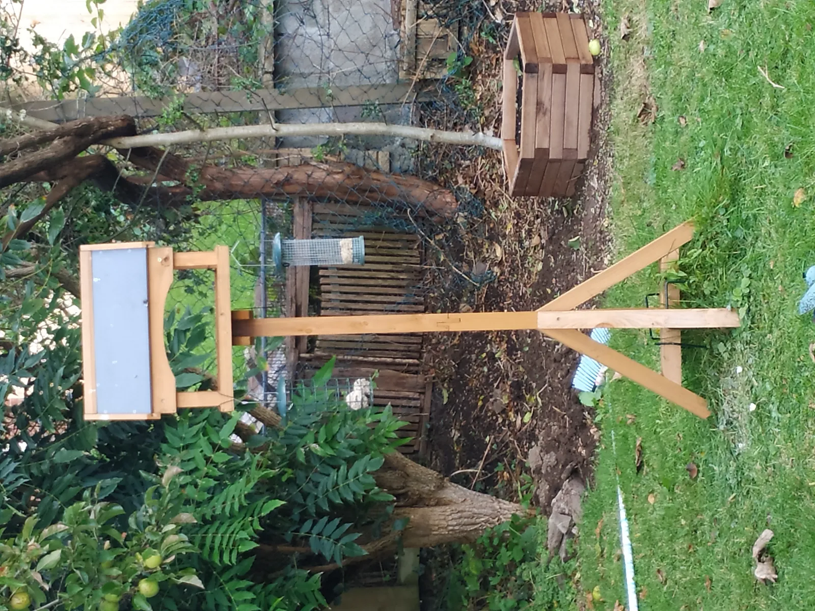 Caged Bird Feeder Review: 14 Species and 19 kg of Seed