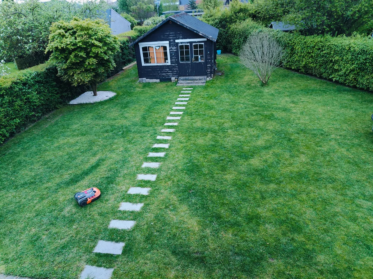 A robotic lawn mower working on a garden lawn
